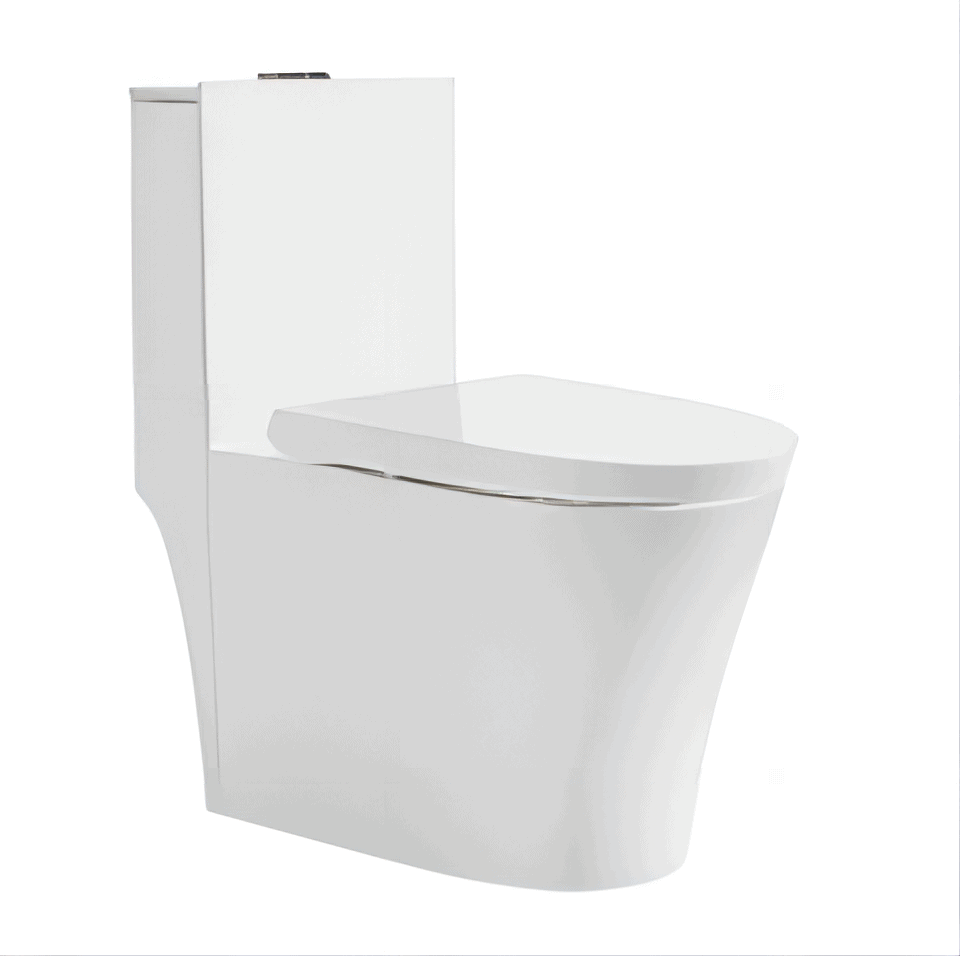 Toilet-2