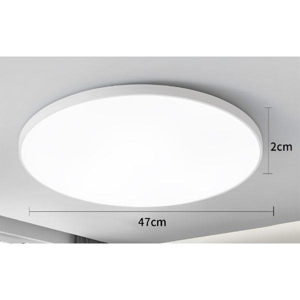 Light-6