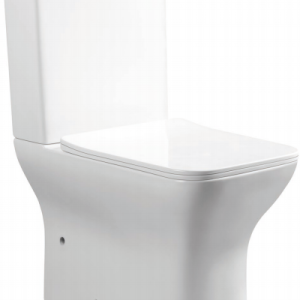 Washdown wall hung Toilet